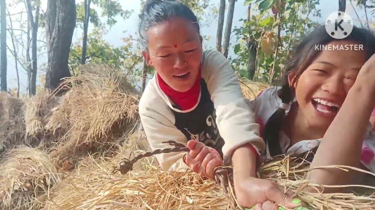 Gar ma Kam gardi 💐🩵