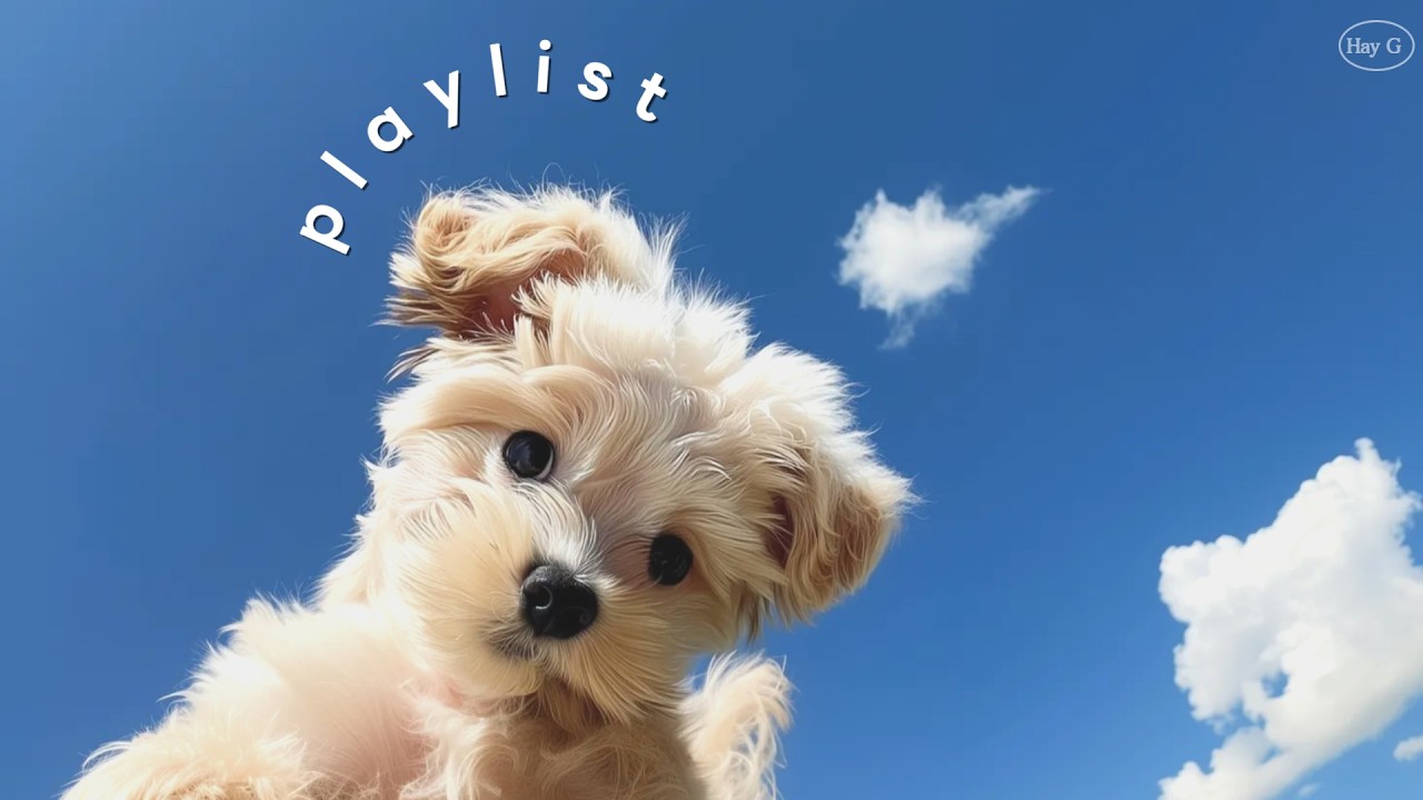 Playlist 🎈 Поп-хиты для продуктивной работы | Вдохновение с первых нот 🌷 | HayG