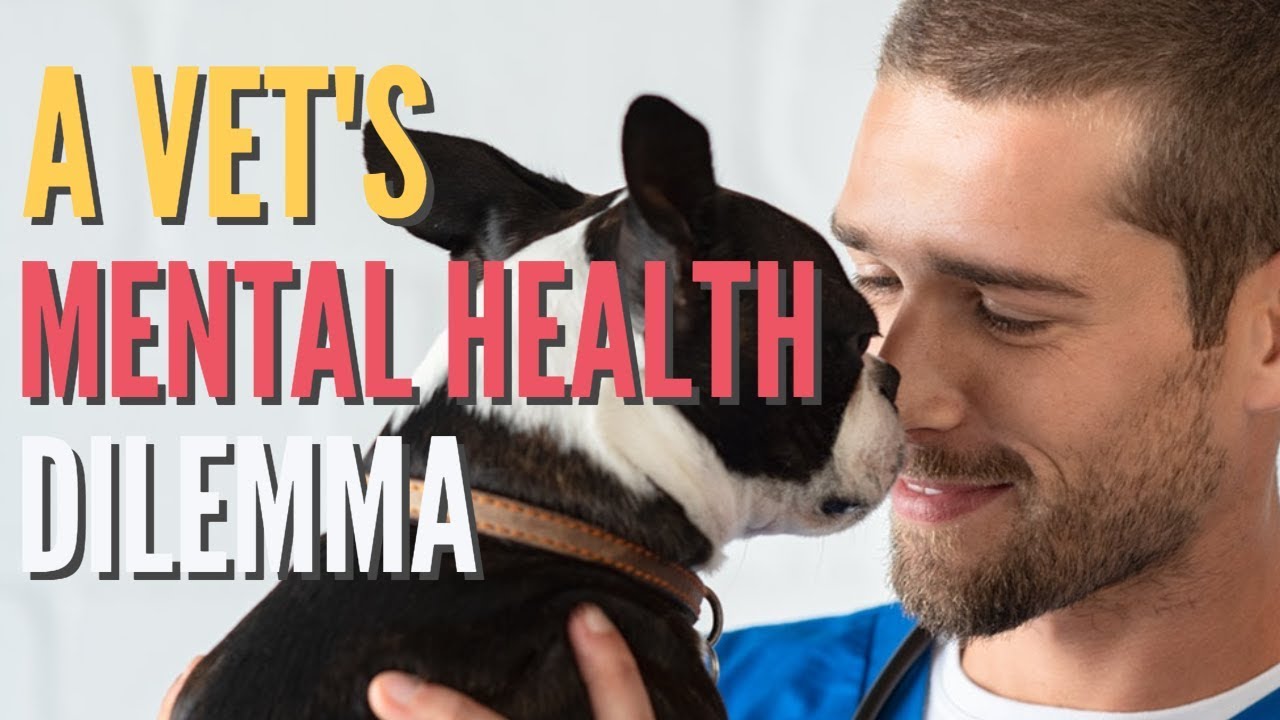Veterinarian Mental Health Dilemma