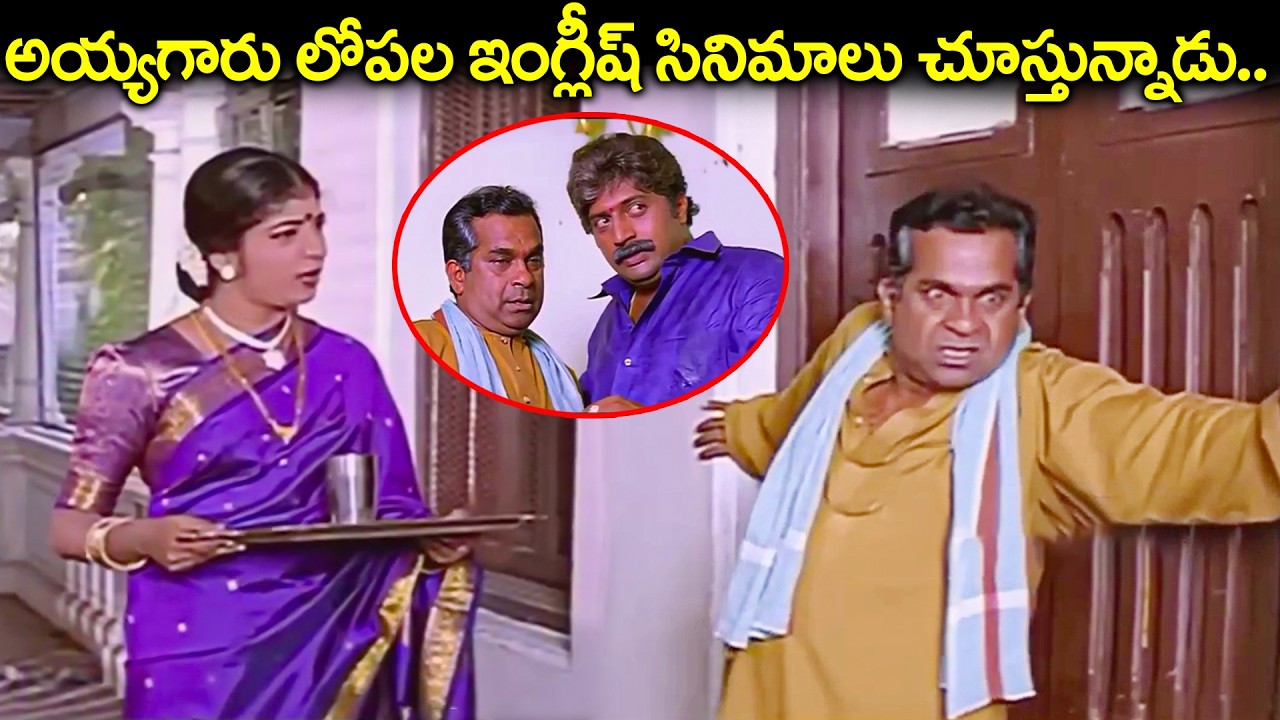అయ్యగారు లోపల ఇంగ్లీష్ సినిమాలు చూస్తున్నాడు.. | Brahmanandam & Prakash Raj Best Comedy Scenes