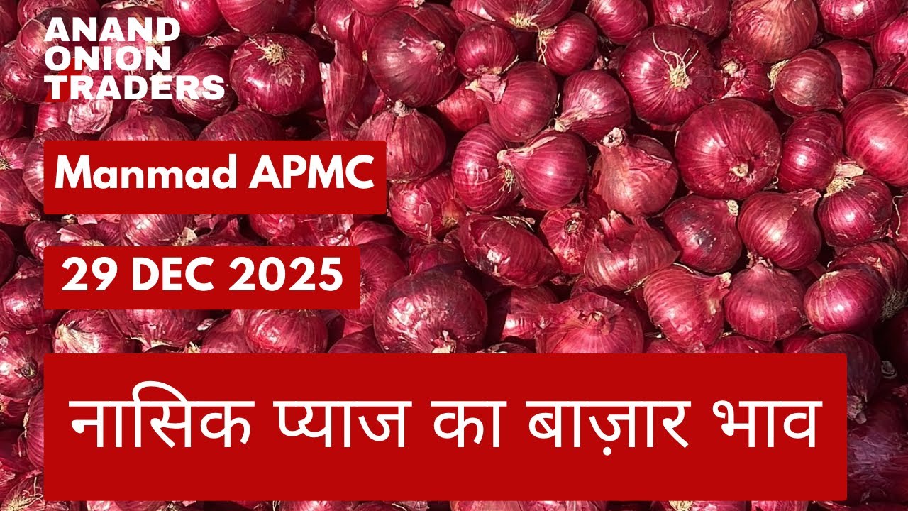 Manmad APMC Onion Rate Today | Nashik Mandi Aaj Ka Pyaz Bhav | 29-12-2025