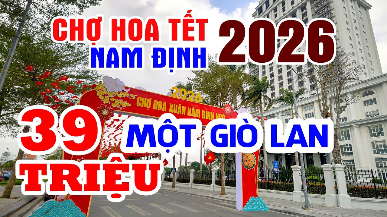 Chợ Hoa Tết Nam Định - 39 triệu đồng một giò lan Hồ Điệp