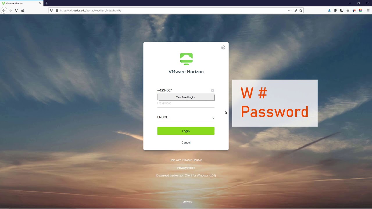 How Access VMware Using Your Internet Browser