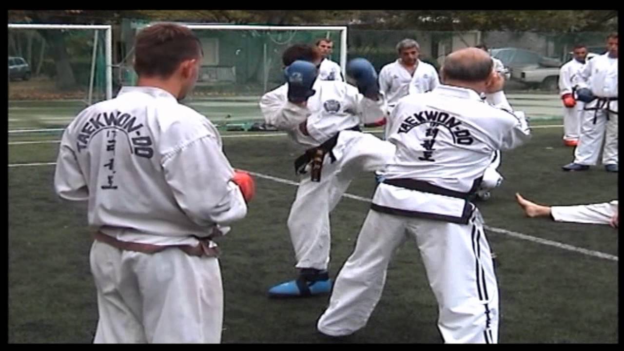 Taekwon-do I.T.F, 15th Summer Camp 2011, Master Alexandris Vasilis (8th degree), Greece