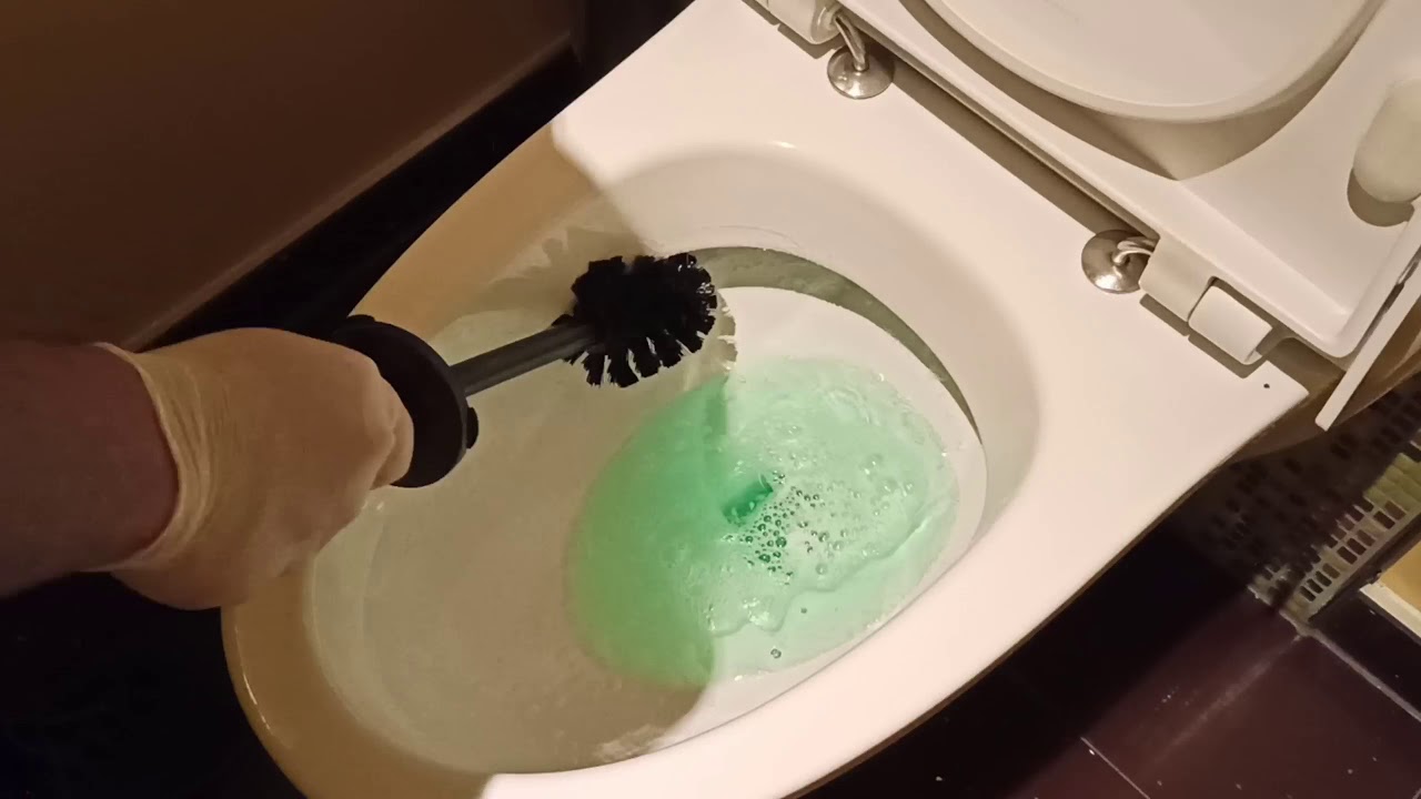 How to clean public toilet in Cruiseship