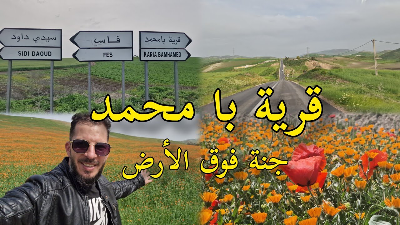 طريق بين قرية بامحمد فاس اروع مافي الطبيعة إقليم #تاونات