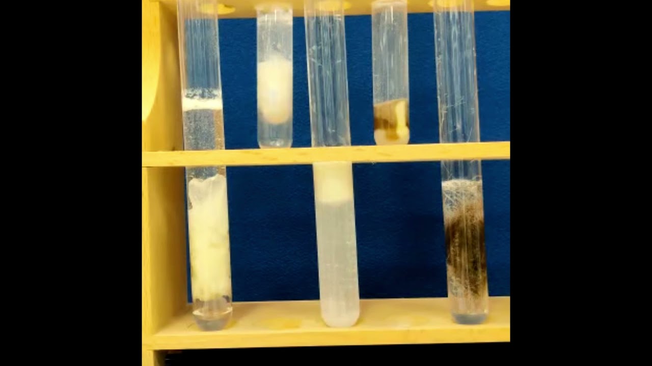 Granulat Abflussreiniger Test