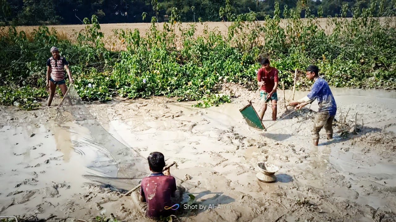 Amazing Village Fishing Video ✅ @mr.hookfisherman fishing #villagefishing#bestfishing#handfishing