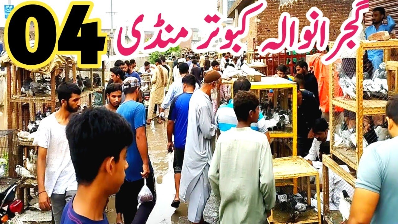 04) Gujranwala Kabootar mandi |گجرانوالہ کبوتر منڈی  | Gujranwala Birds Market