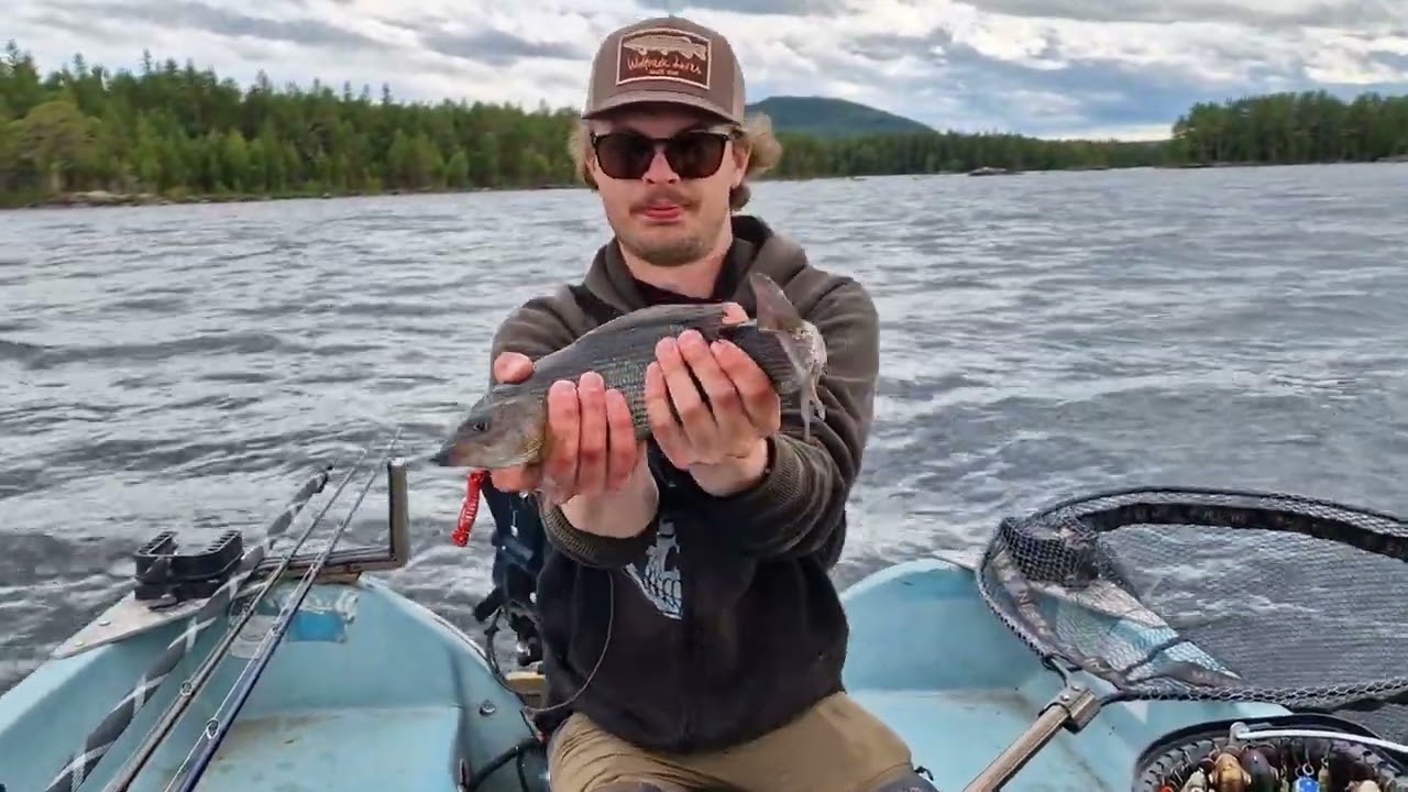 Harr i Storsj&ouml;n Augusti