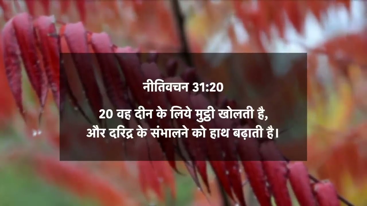 नीतिवचन 31-20 - वह दीन और दरिद्र के संभालने को हाथ बढ़ाती है - दैनिक मन्ना