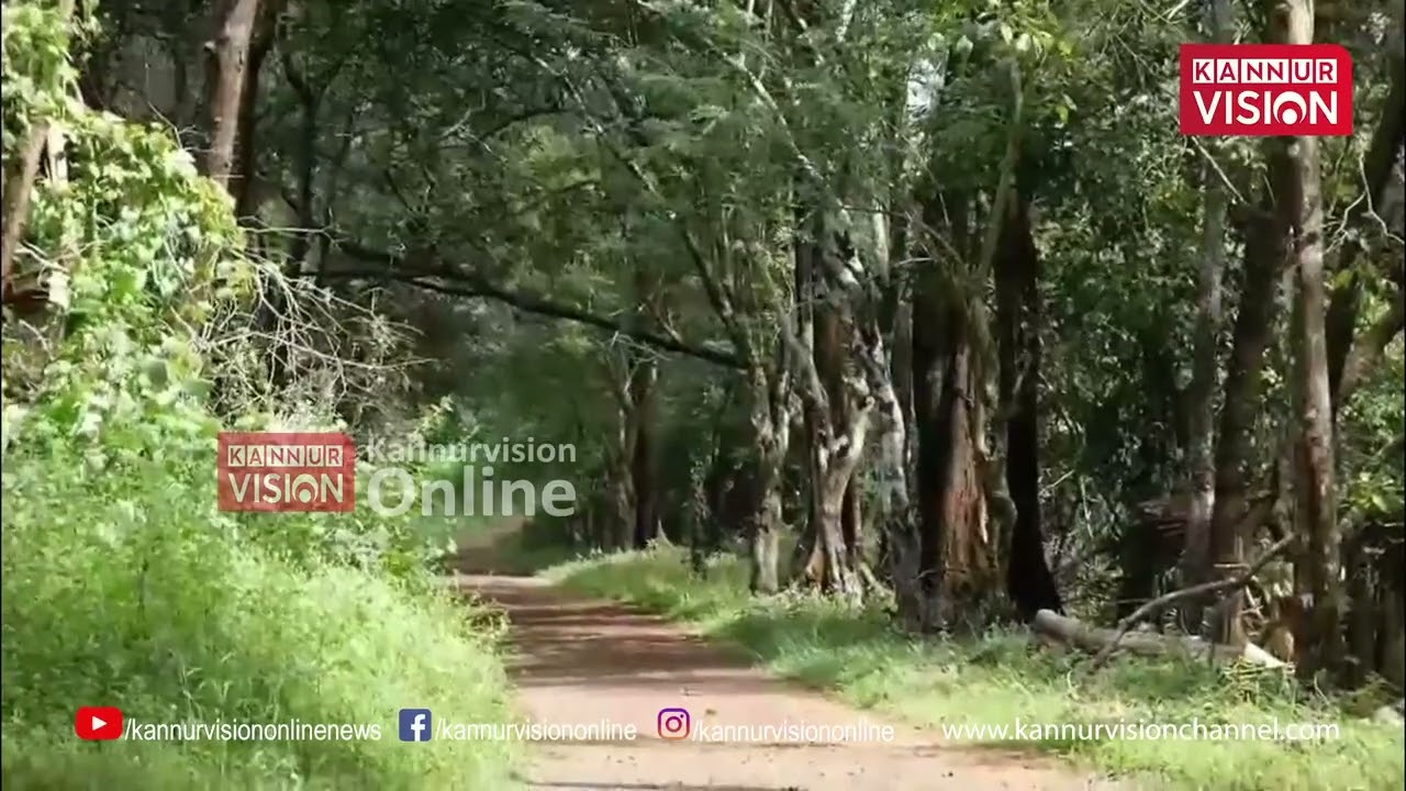 തളിപ്പറമ്പ് നാടുകാണിയിലെ നിര്‍ദിഷ്ട സൂ സഫാരി പാര്‍ക്ക് യാഥാര്‍ഥ്യത്തിലേക്ക് |Zoo Safari Park