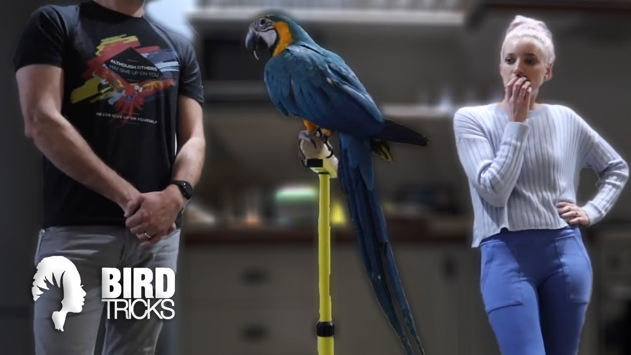 This Macaw Has Us STUMPED!
