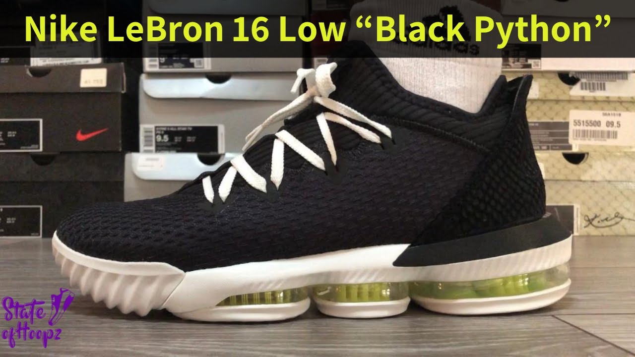 Nike LeBron 16 Low 