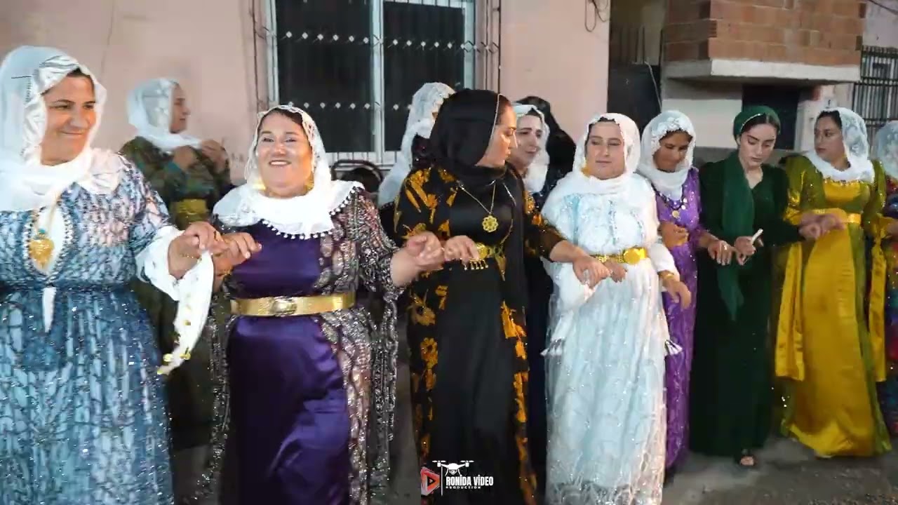 RONİDA-MÜZİK SİİRT PERVARİ EŞİRA SERXANİSYA ALİ DÜĞÜN 2025 PART1