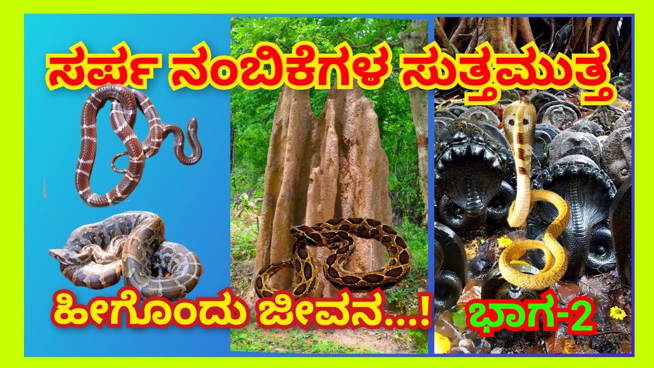 ಭಾಗ-2 ಸರ್ಪ ನಂಬಿಕೆಗಳ ಸುತ್ತಮುತ್ತ ನಮ್ಮ ಜೀವನ ಹೇಗೆ ಸಾಗುತ್ತಿದೆ...? || 