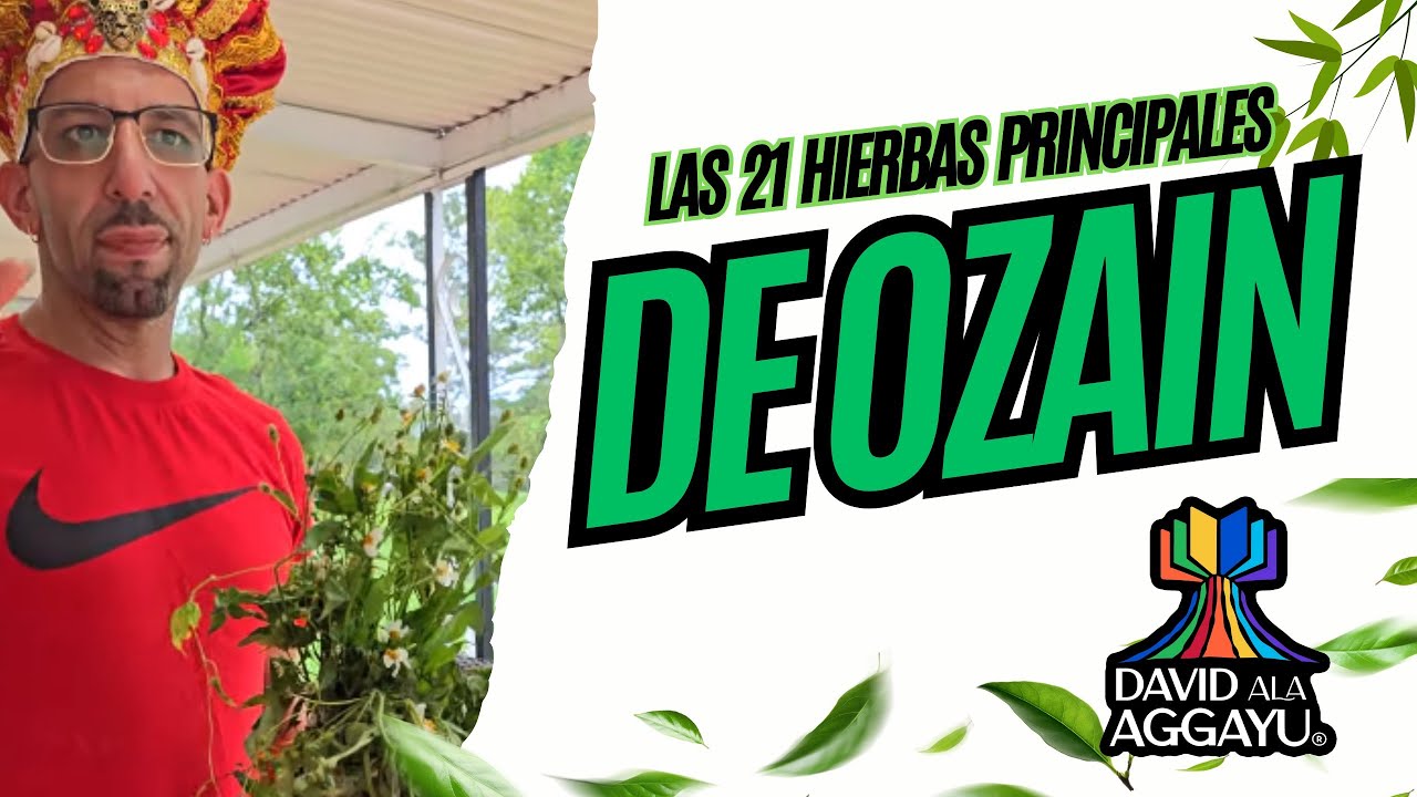 Las 21 Hierbas Principales de Ozain