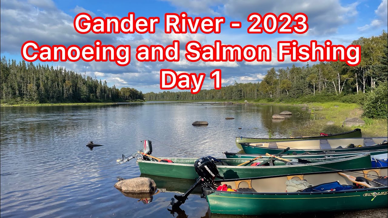 Gander River Newfoundland and Labrador 2023 - Day 1 #salmon #salmonfishing #newfoundlandandlabrador