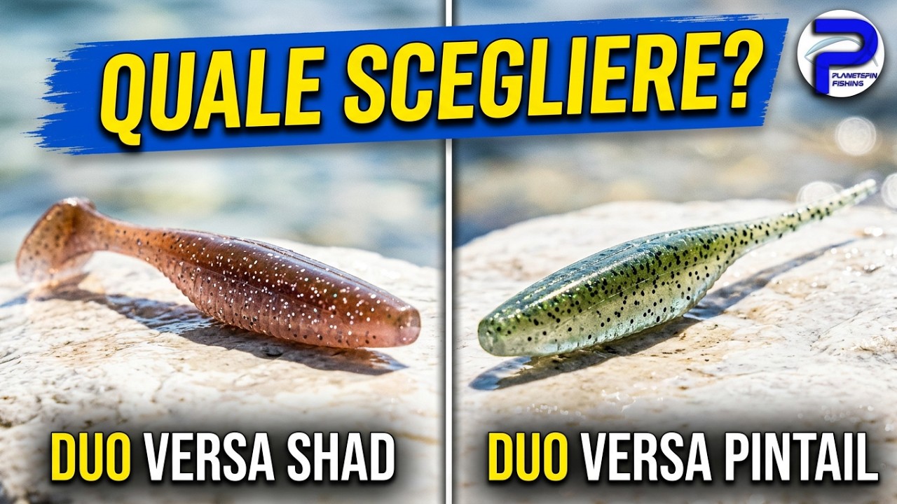 DUO VERSA SHAD e VERSA PINTAIL - test e recensione esche da spinning