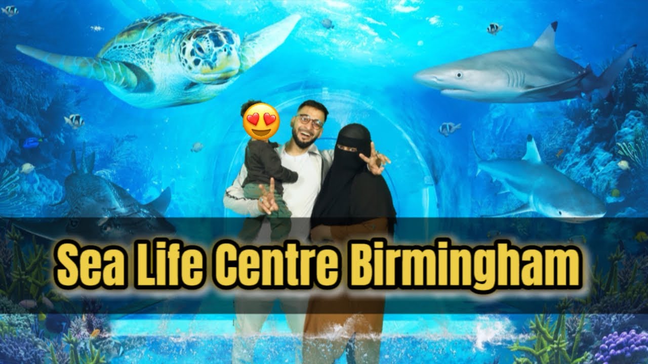 Sea life centre Birmingham #birmingham #sealife #faiziclicks