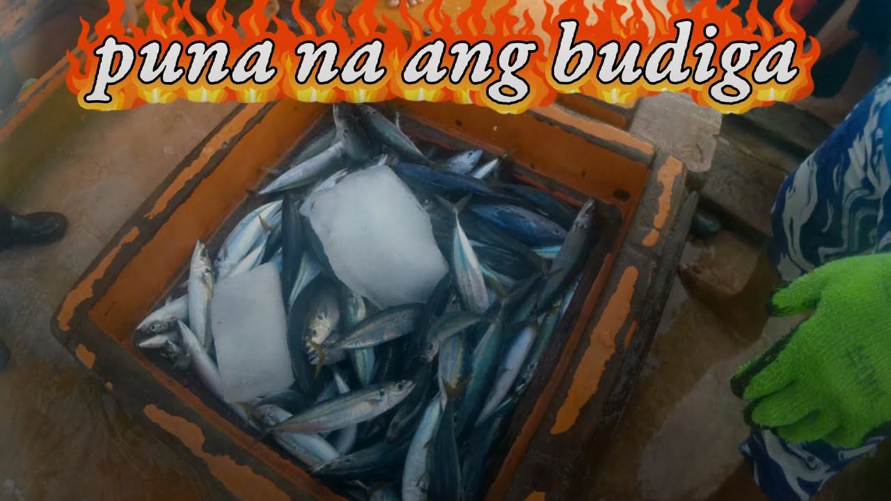 Puno na ang budiga