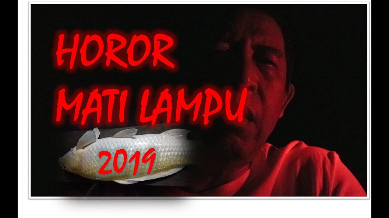 HOROR KOLAM KOI - MATI LAMPU JAWA-BALI 2019 | Vlog Kolam Koi (1)