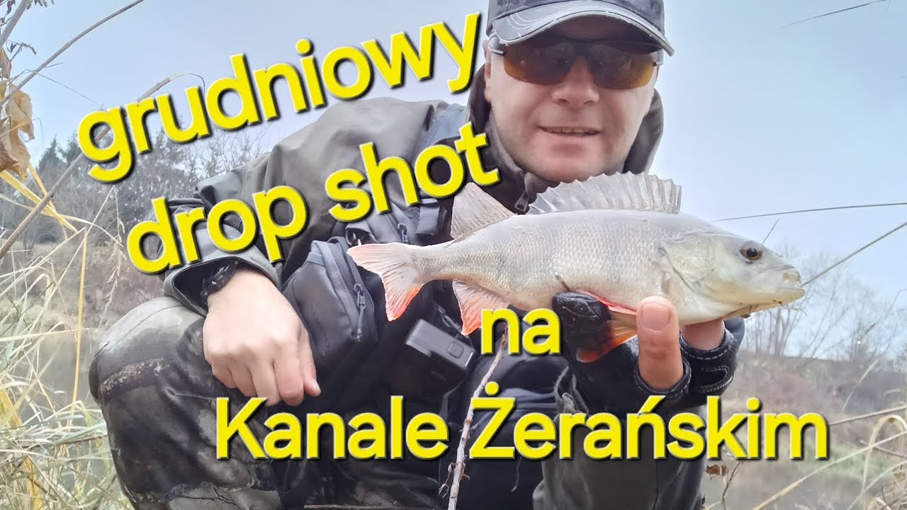 okonie na drop shot w grudniu Kanał Żerański #fishing #ryby#okoń#perch