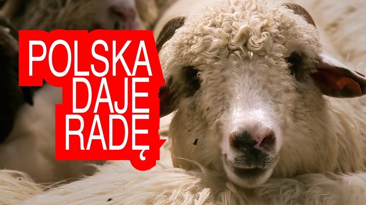 Polska Daje Radę - Podhale! [Bukowina Tatrzańska, pstrągi w Bigos&oacute;wce, produkcja oscypk&oacute;w, termy!]