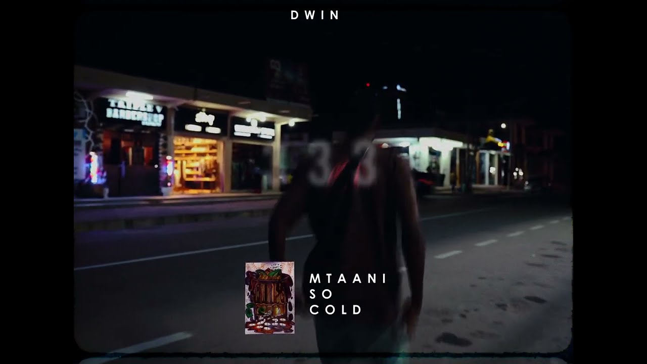 Dwin - 333