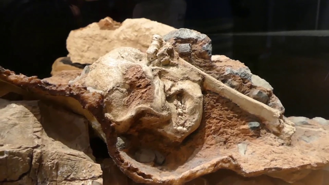 Cradle of Humankind - Maropeng, Gauteng South Africa