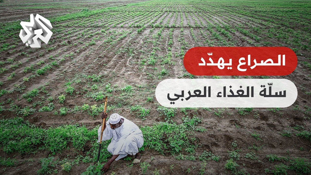 الحرب تهدد الثروة الزراعية في السودان .. مصير غامض لقرابة نصف الأراضي الزراعية في العالم العربي