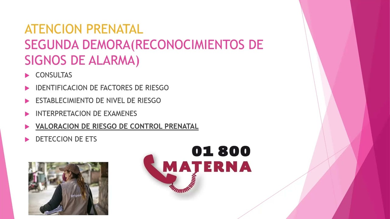 Muerte Materna Enfoque Integral: 1 Eslabones Críticos y el Sistema de las 4 Demoras