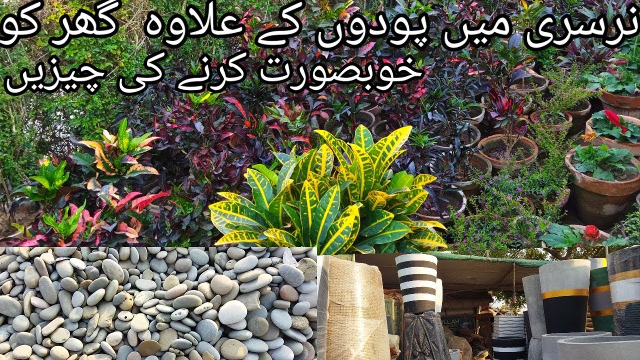 Plant Nursery Visit | Garden Decoration Ideas | Stone Pebbles | Stone |@FoodAndTravelWithKhawaja