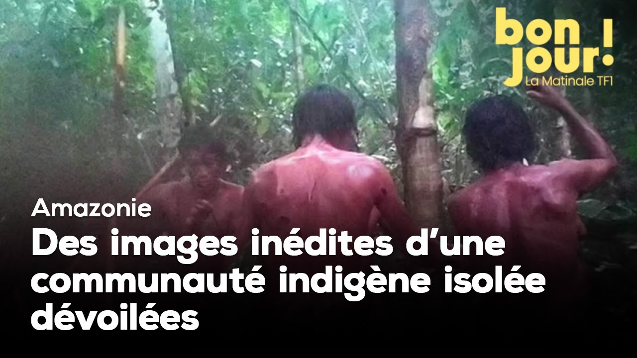 Amazonie : des images inédites d'une communauté indigène isolée dévoilées  ｜TF1 INFO