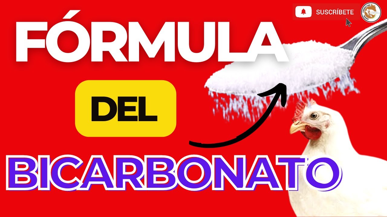🥇FÓRMULA PARA ENGORDAR POLLOS RÁPIDAMENTE CON BICARBONATO😲