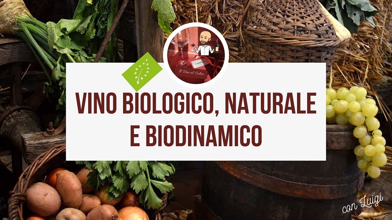 Vini biologici, naturali e biodinamici