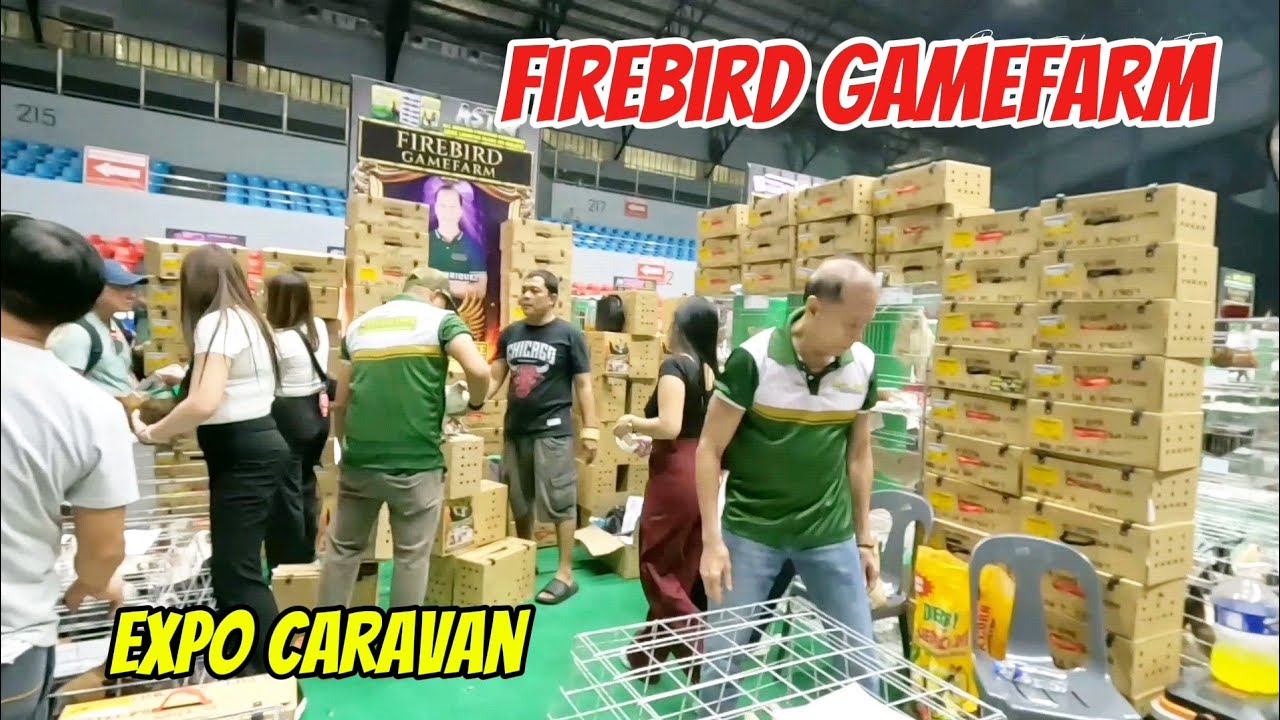Cebu Excellence Caravan Expo 2025/ 1st in Cebu / Game fowl/ Part 1..
