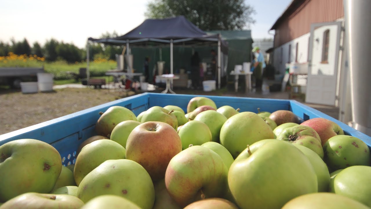 Kom t&aelig;t p&aring; naturen i K&oslash;ge med hyggelige naturprojekter | Ferie i Danmark