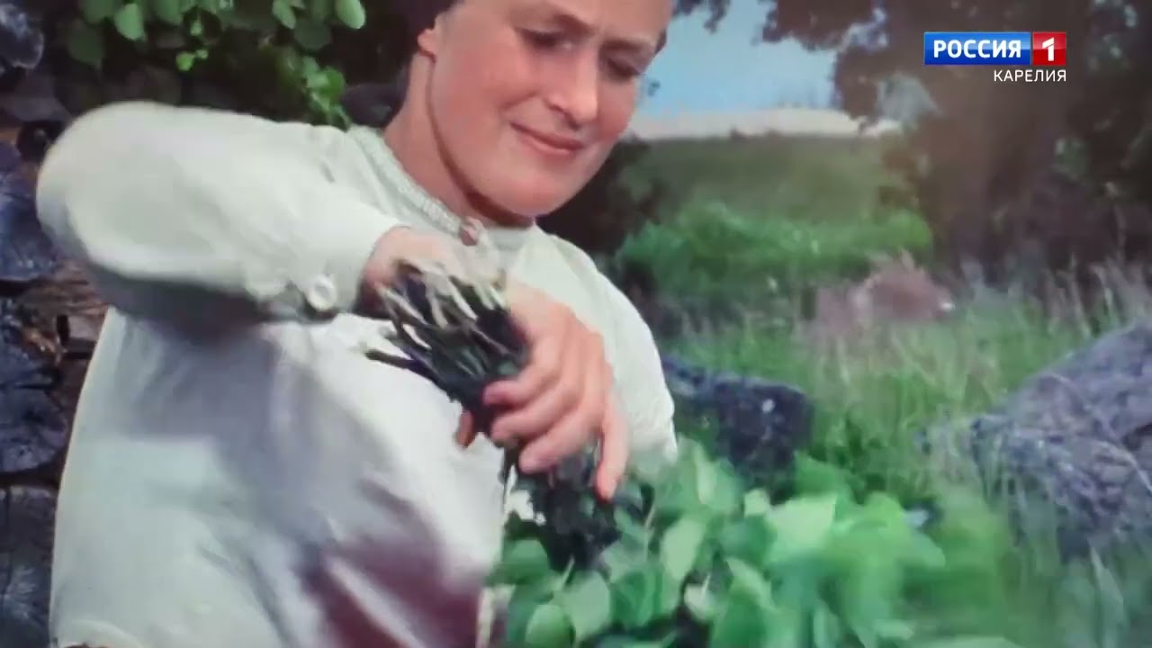 Myrskyluodon Maija Suomen kirjallisuudessa. Dos. Bäckmanin luento Venäjän tv1