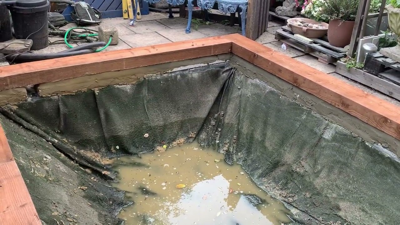 Walthamstow pond restoration update 