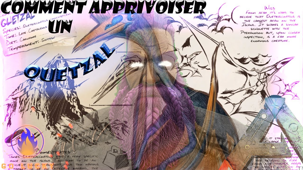 COMMENT APPRIVOISER UN [ QUETZAL ] -FR - version solo