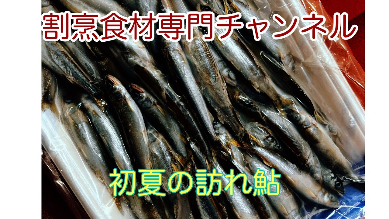 割烹食材専門チャンネル珍味の二幸　湖産稚鮎はいかがでしょうか？