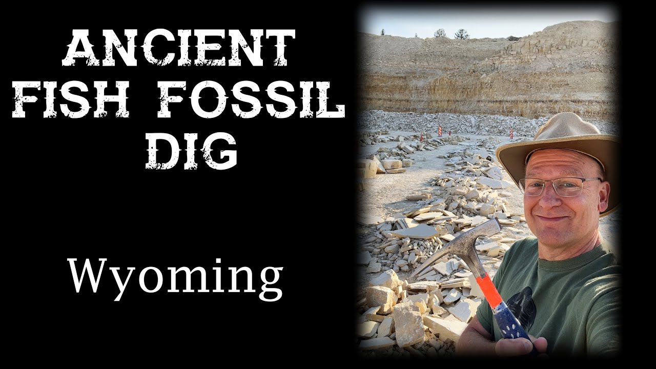 Ancient Fish Fossil Dig  | Southwest Wyoming |