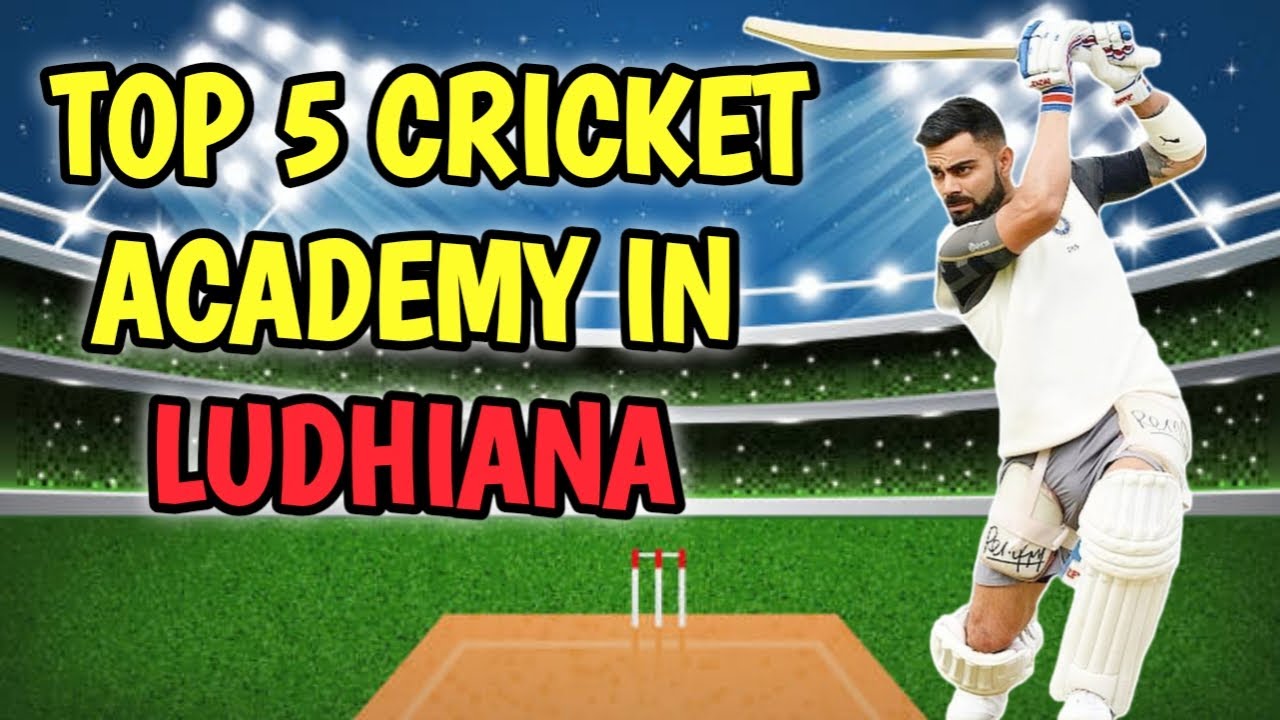 Top 5 cricket academy in Ludhiana Punjab || best cricket academy in ludhiana punjab