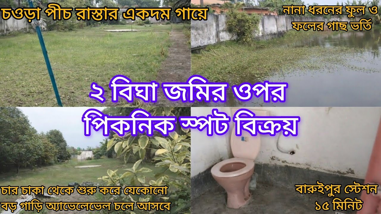 [262] ২ বিঘার কম বেশির ওপর নানা রকমের ফলের গাছ সহ উচু হাইল্যান্ড জমি বিক্রয়।
