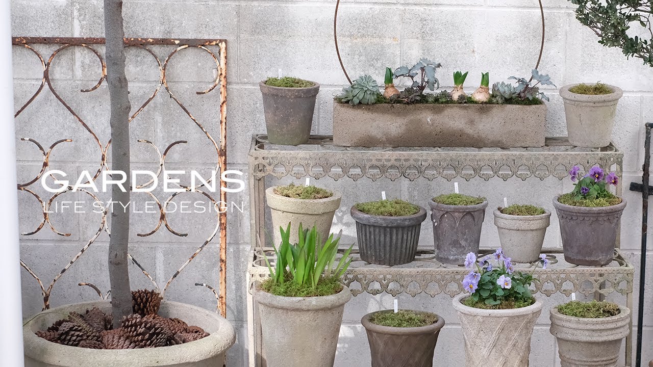 GARDENS この春取り入れたいガーデンインテリア  | 球根と多肉植物の寄植えとおすすめのガーデンアイテム【ガーデンズ】