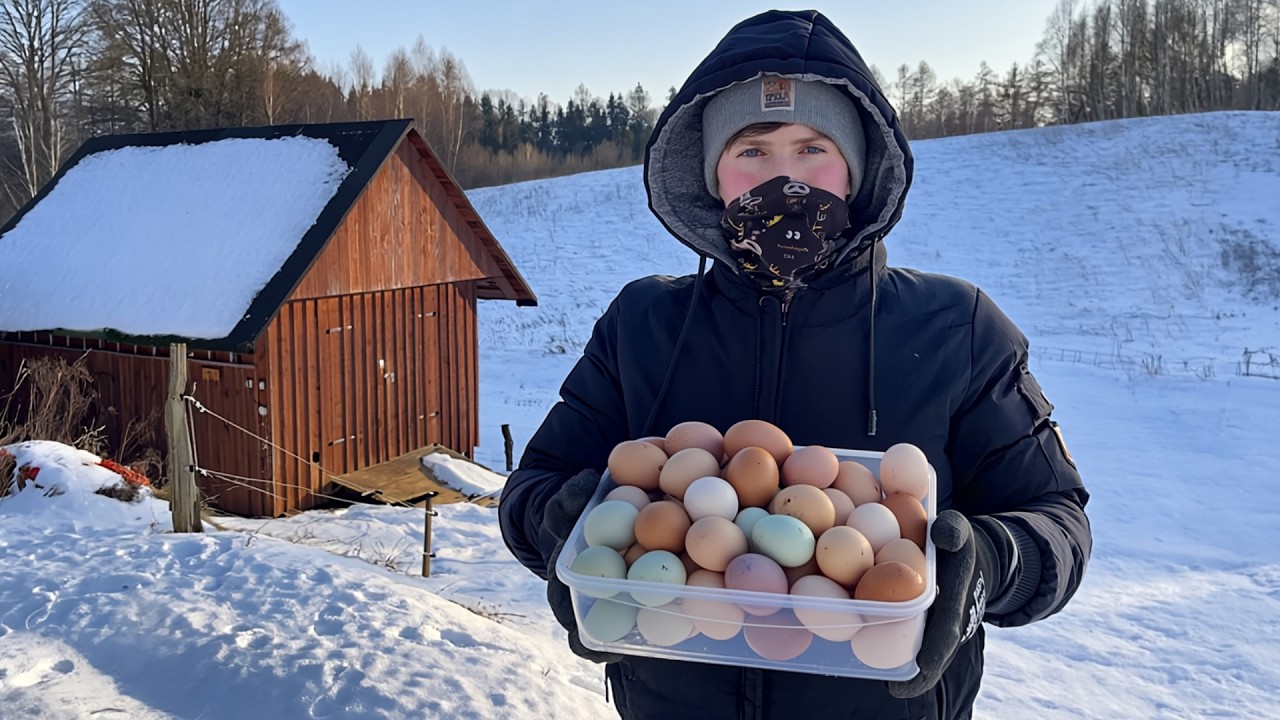 Small Farm Life at -18°C ❄️ Eggs, Cows and Cozy Winter Cooking