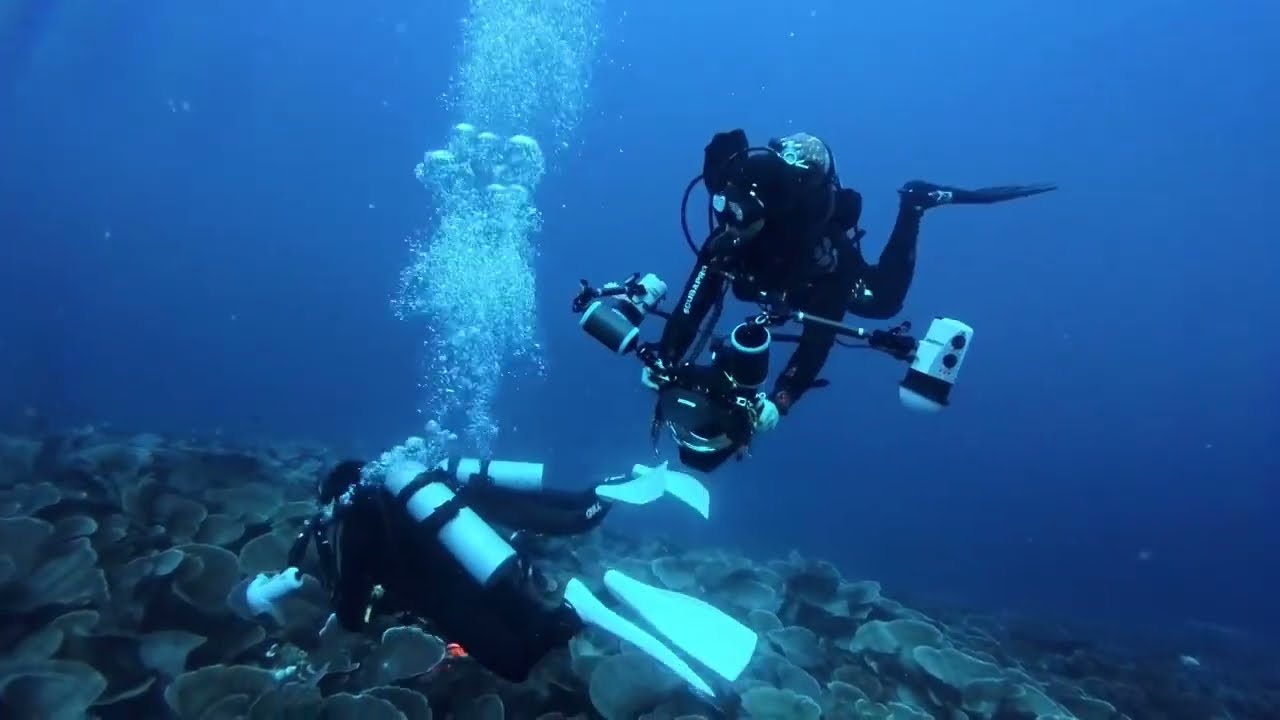 Balicasag, Royal Garden Point. - Diving ASMR January 7, 2026, deep sleep ASMR, Restful sleep.