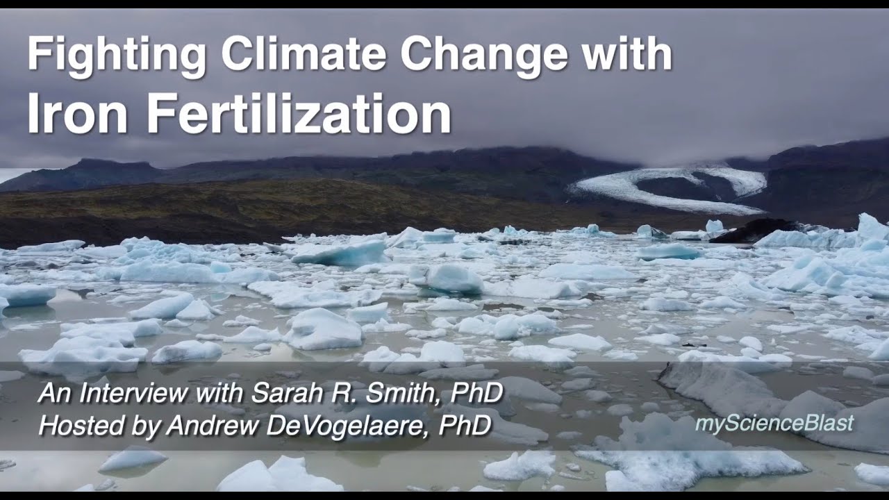 Climate and Iron Fertilization: Can Phytoplankton Save Us?