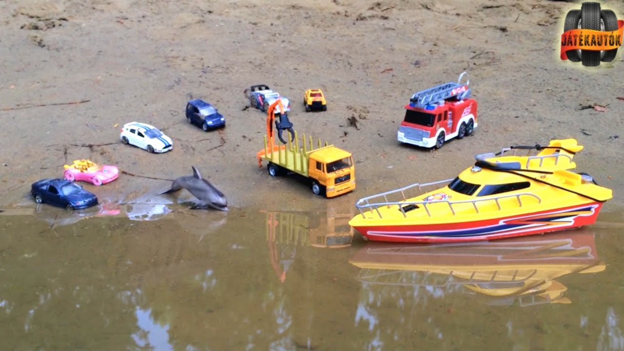 A nagy delfin mentés